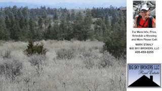 preview picture of video '4138 Stargazer Ct, Helena, MT Presented by MARK STAHLY.'