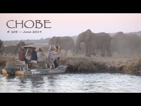 Victoria Falls and Chobe Nationalpark - Botswana