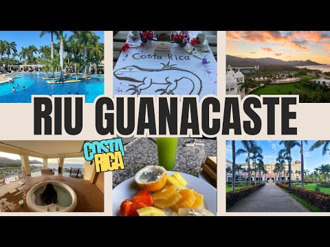 Videos del Riu Guanacaste 5★ en Guanacaste, Costa Rica
Ver Más
Ver
Precios
20
Cerrar
Consulta por Whatsapp 🇦🇷
Booking
Tripadvisor
Expedia
Travelocity
Orbitz
Priceline
Trip
Skyscanner
Despegar
Kayak
Hoteles
Bestday
Destinia
Trivago
Turismocity
Almundo
Lastminute
Hotwire
Tui
Wotif
