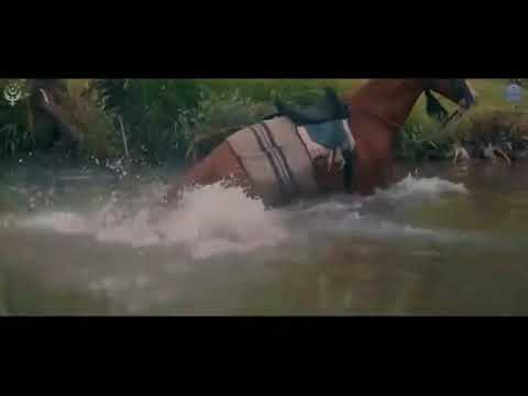 HD The Oghuz Lions اوغوز_کے_شیر Suleyman x Ertugrul x Osman_And Alparslan x Melikshah x Sencer