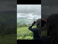 La - Electronic kili