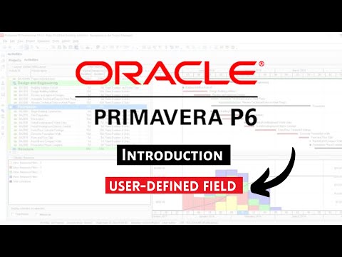 Primavera P6 Oil Gas Project Tutorial Full Planning Engineer Project