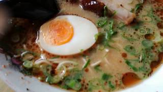 オランダでとんこつラーメン食べるよ！