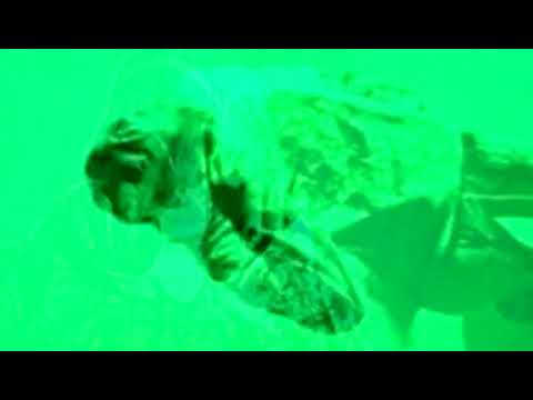 Video thumbnail for Eyes Don’t Lie