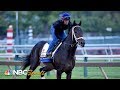 How to bet the 2019 Preakness Stakes | The Daily Line | NBC Sports