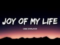 Chris Stapleton - Joy of My Life (Lyrics)