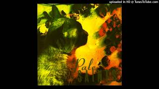 Pale Saints - You Tear the World in Two (Instrumental)