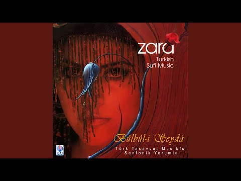 Video Yükleniyor...