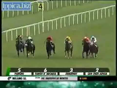 Misterious Boy - Premio De Montel, Listed