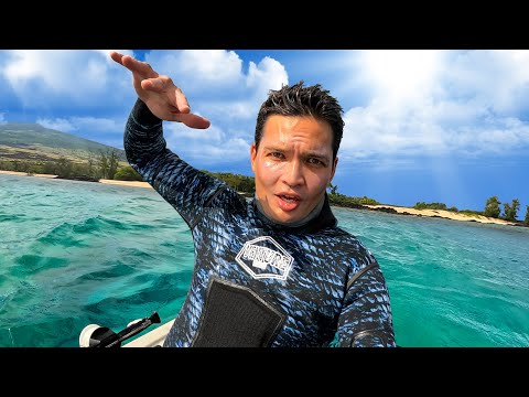 Spearfishing with my "Secret Weapon" - Camping Hawaii