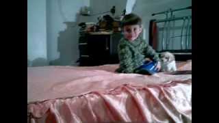 Le sabot de ma jument Jean-françois Alexandre