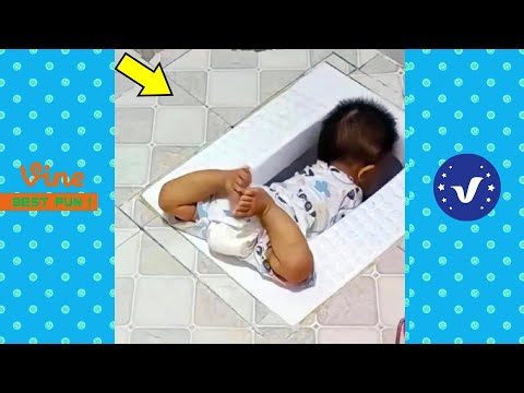 Funny & Hilarious Video People's Happy Life #30 ???? Try Not To Laugh Funny Videos 2024