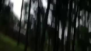 THOMAS SANDERS SINGING MY NAME ON SHOUT OUT SUNDAY