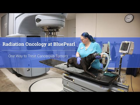 Radiation Oncology at BluePearl