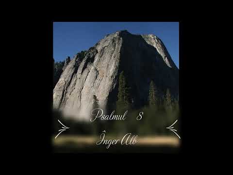 Psalmul 8 - Înger Alb