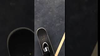 Praying mantis skateboard accident