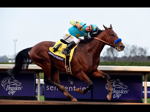 American Pharoah - The People's Horse