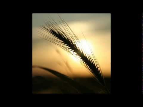 Kirbye - Sei Tu Signore il Pane