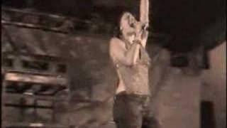 Fan video [So Alive - Cosima]