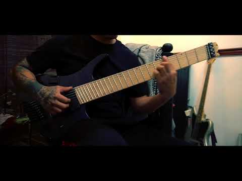 Strandberg Boden 8 2018 Slap/Fingerstyle