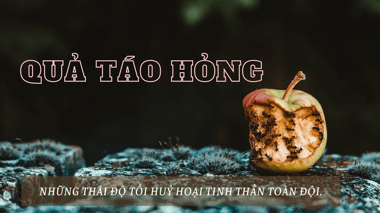 Nguyên tắc 8:  QỦA TÁO HỎNG