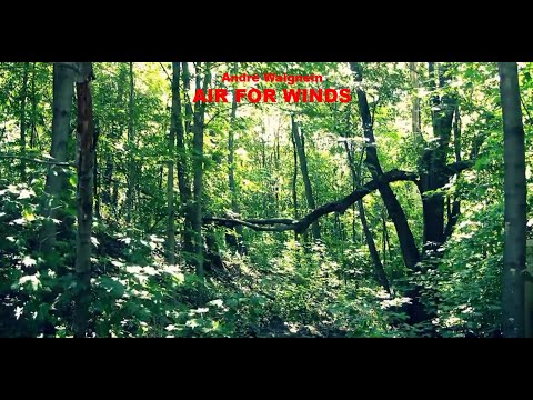 Air for Winds - André Waignein (A*)