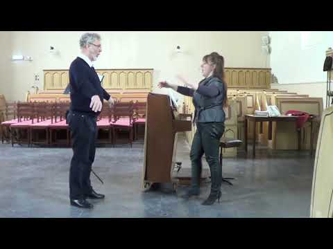 Singing lesson with Mozart aria's , Part 1 / In diesen heil'gen Hallen // bas-bariton