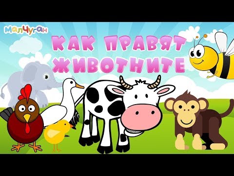 КАК ПРАВЯТ ЖИВОТНИТЕ 🐷🐵🐓| Образователно видео за деца