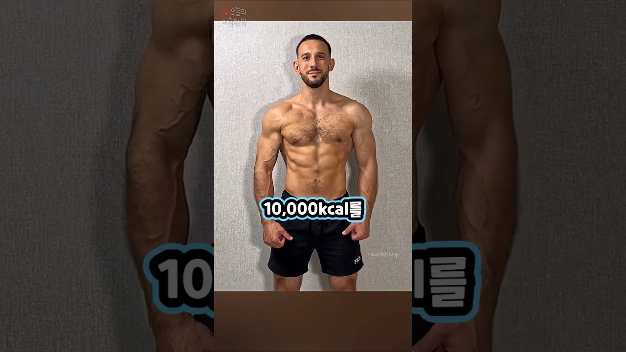 정크 푸드 살크업이 ㅈㄴ 위험한 이유..