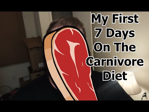 My First 7 Days on the [Carnivore Diet]
