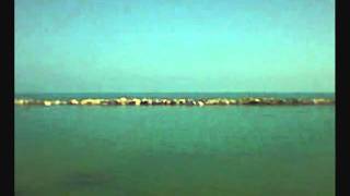 scatter the ashes division 0001