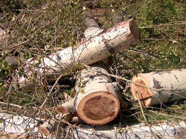 Перестарались