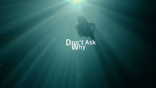 Don't Ask Why｜RED素材 × DaVinci Resolve × Monetで遊んでみた
