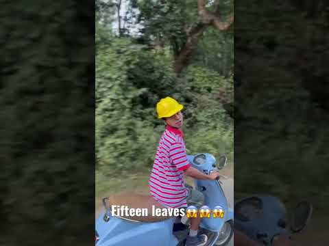 Fifteen leaves kan hmu😱😱😱Youngfella hla phuatu kha!!!!