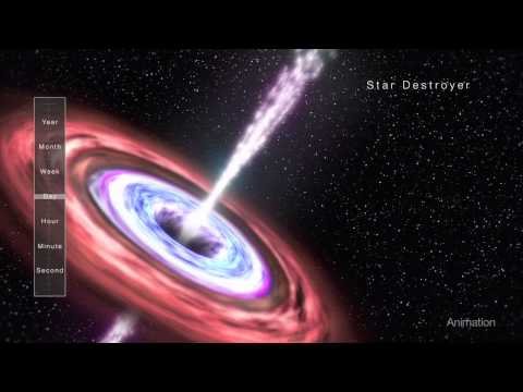 dubsayers - dubtrologist