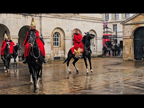 GUARDS HELMET FALLS TO THE GROUND as HORSE HATES THE RAIN and tries to THROW rider at Horse Guards!