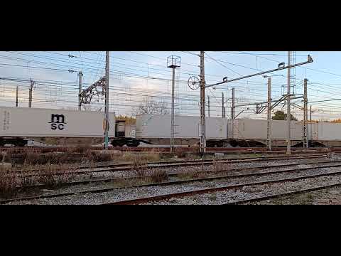 Reefer MSC de Medway con 333.3 de Renfe Mercancías