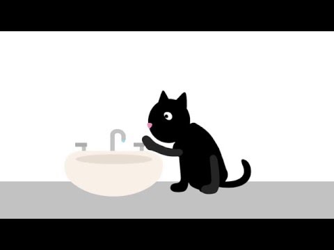 Short Cat Animations