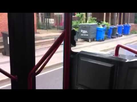 Powells Bus Co 02 N320 VMS