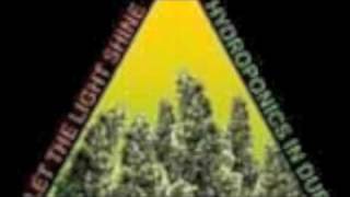 HYDROPONICS  / LET THE LINE SHINE