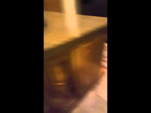 Crystal the Pet Nanny. LLC video.