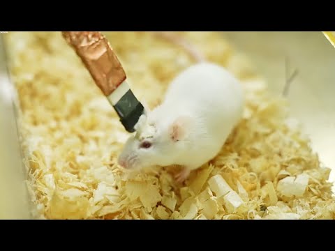 When Thoughts Defy the Impossible