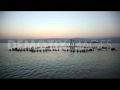 Spencer Tunick Save The Dead Sea Floating Installation