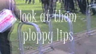 BRUSH MY SHOULDER (Y)