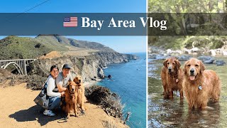 San Jose Vlog | Big Sur Weekend with Our Two Goldens | River Inn Restaurant & Dog-Friendly Adventure