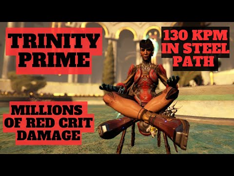 This Warframe Trinity Prime Build 2025 Is SO FUN !!!