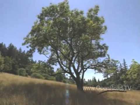 Opent Road TV: California's Lost Coast