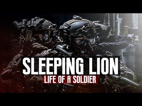 download lagu mp3 mp4 Sleeping Lions, download lagu Sleeping Lions gratis, unduh video klip Sleeping Lions