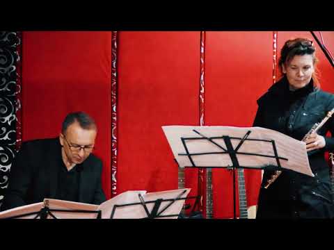 Sonidos de Samba - Samir Fejzić & Edina Sadiković