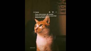 Download lagu STORY WHATSAPP | Putus Cinta mp3